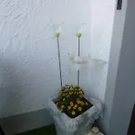 Brigitte Karst Apartman *